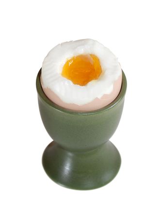 egg protein